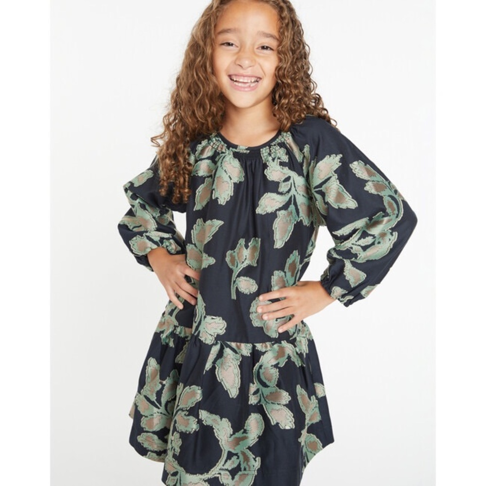 NWT Tanya Taylor Mini Elisabeth Dress Size XS (4-5)
